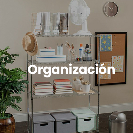 Organización2
